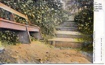 Postcard #15 Dear Old Lake Bluff